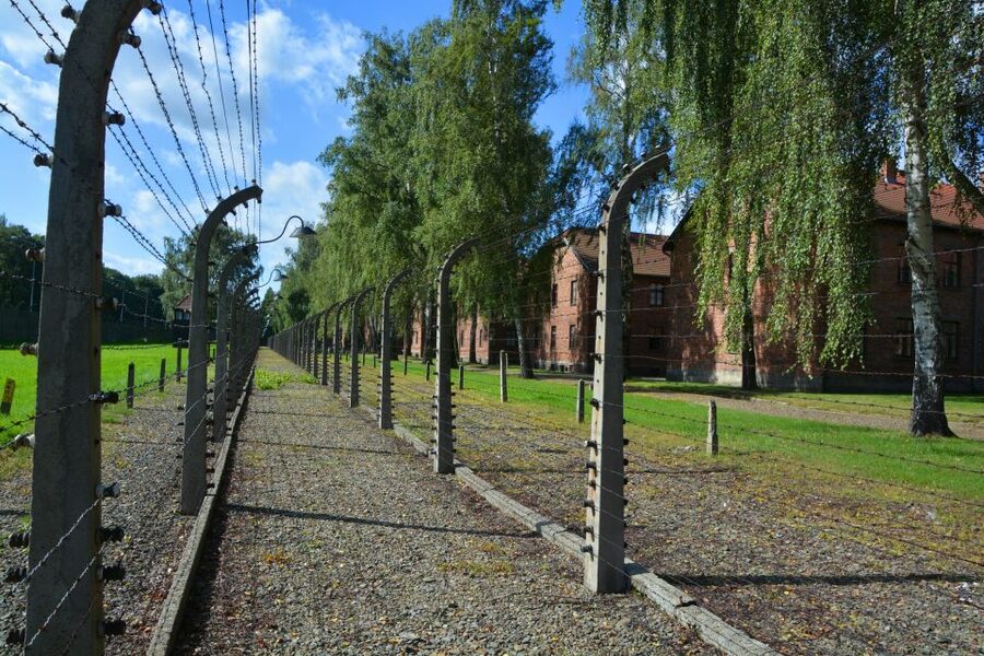 Krakow: Guided Auschwitz Birkenau Tour - Guides, languages, and how the tour feels