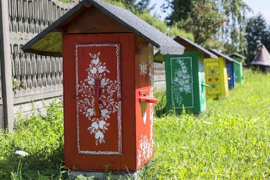 Krakow: Guided Day Tour of Zalipie Village & Museum Entry - The practical details that affect your day