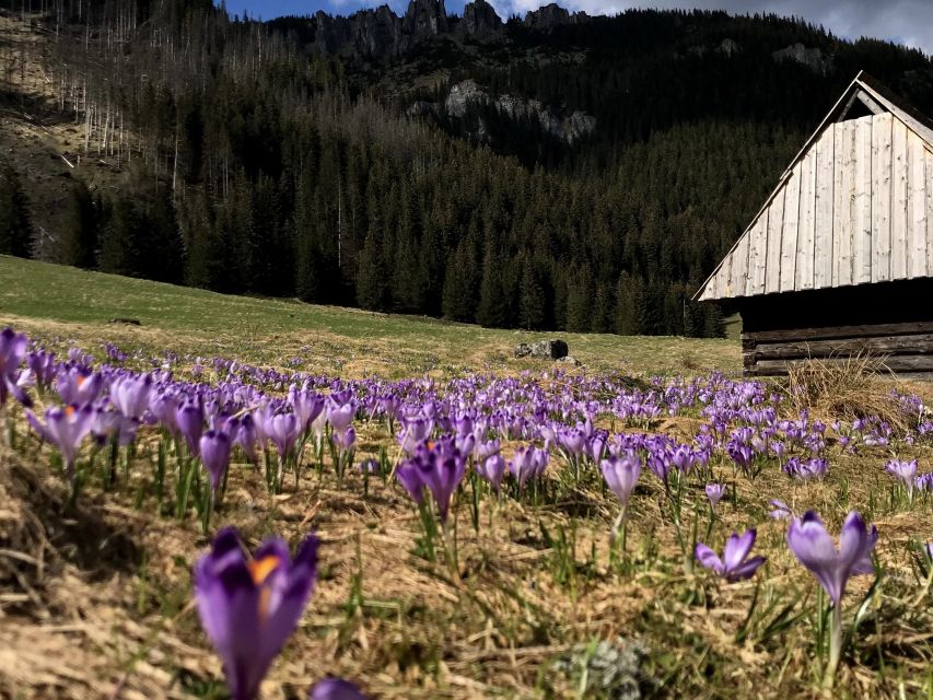 Krakow: Hiking Adventure in Tatra Mountains & Thermal Baths - Who should book this Tatra day trip?