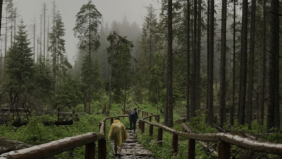 Krakow: Hiking Adventure in Tatra Mountains & Thermal Baths - Lunch in a mountain hut