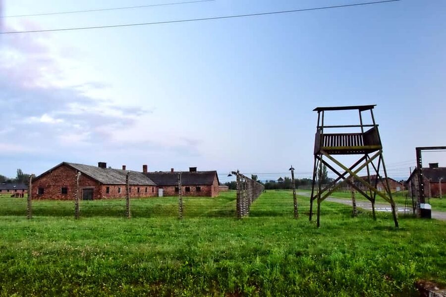 Krakow: Last Minute Auschwitz-Birkenau Guided Tour - Key points to know before booking