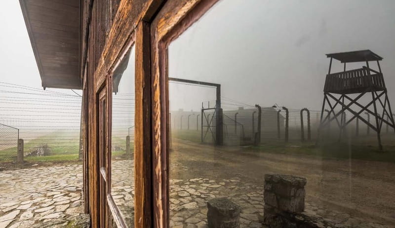 Krakow: Last Minute Auschwitz-Birkenau Guided Tour - Why this Auschwitz-Birkenau visit matters