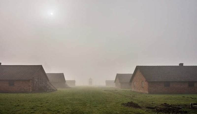 Krakow: Last Minute Auschwitz-Birkenau Guided Tour - The short transfer to Birkenau