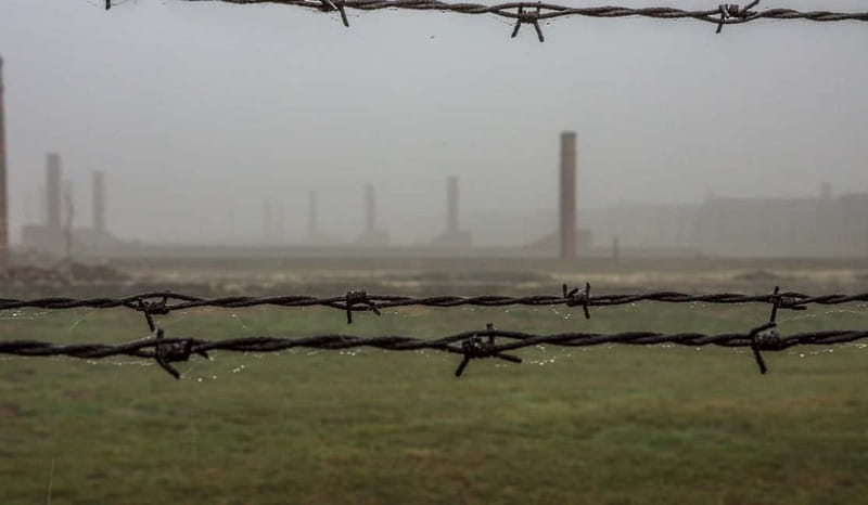 Krakow: Last Minute Auschwitz-Birkenau Guided Tour - What the guide adds to the visit