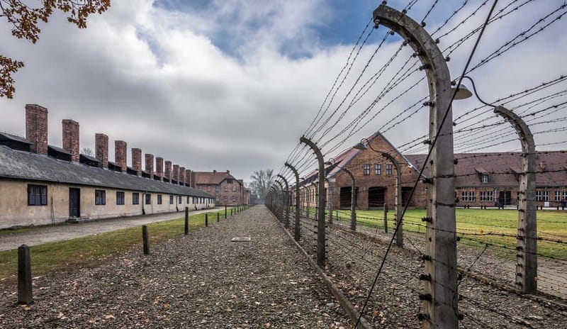 Krakow: Last Minute Auschwitz-Birkenau Guided Tour - Timing, food, and the real cost of a last-minute tour