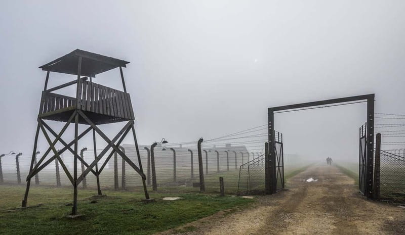 Krakow: Last Minute Auschwitz-Birkenau Guided Tour - Who should choose this tour