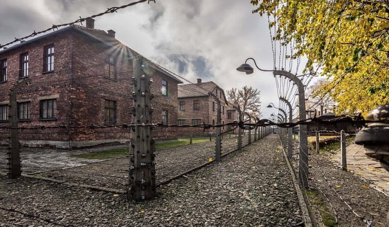 Krakow: Last Minute Auschwitz-Birkenau Guided Tour - Practical ways to make the day better