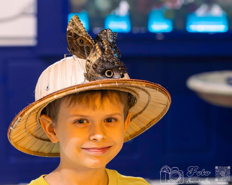 Krakow: Living Butterflies Museum ''House Of Attractions'' - A small animal world on Grodzka Street