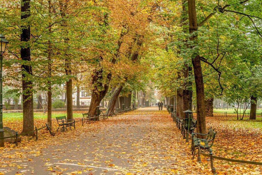 Krakow: Old Town Guided Walking Tour - Who should book this Krakow walking tour?