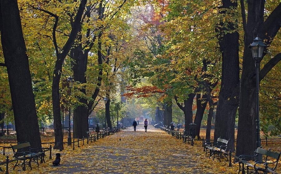 Krakow: Old Town "Royal Route" Walking Tour - Key points at a glance