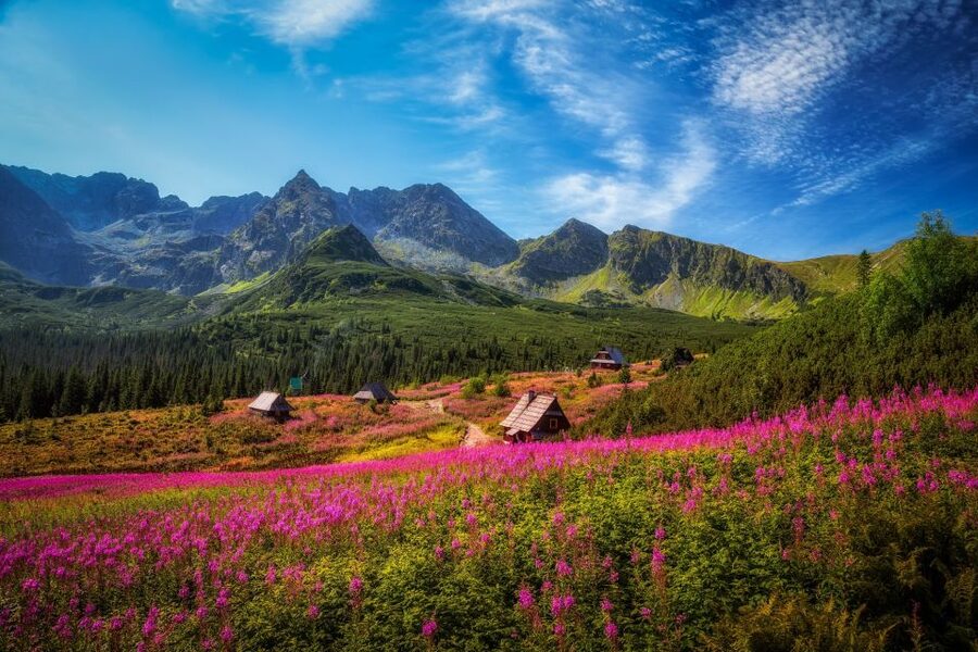 Krakow: Tatra Mountains and Zakopane Full-Day Private Tour - Why this Krakow day trip works