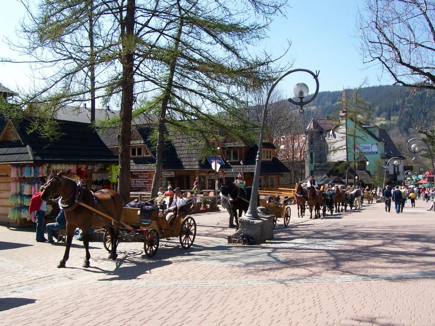 Krakow: Tatra Mountains and Zakopane Full-Day Private Tour - A private guide makes the tight schedule easier