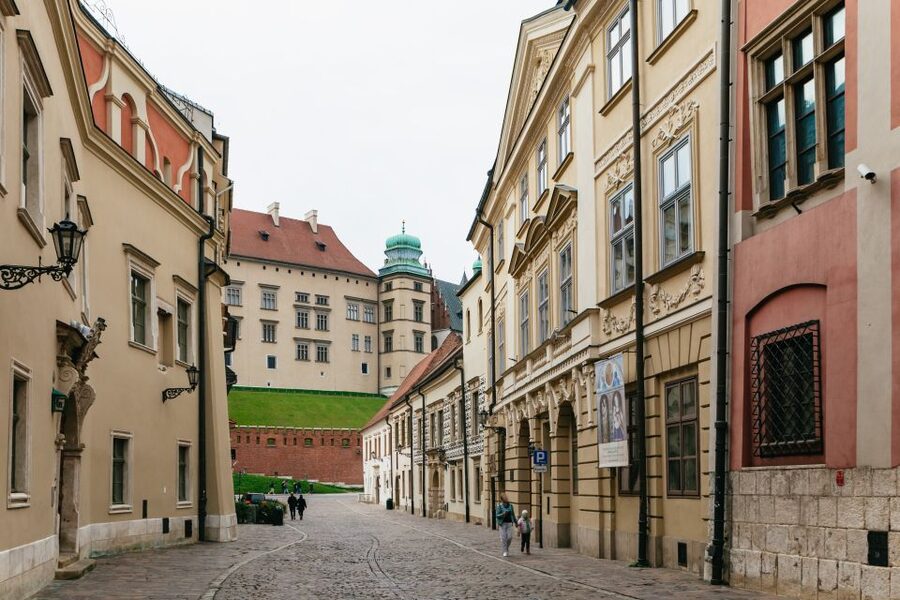 Krakow: Wawel Royal Hill with Optional Castle and Cathedral - Who should book this Wawel tour?