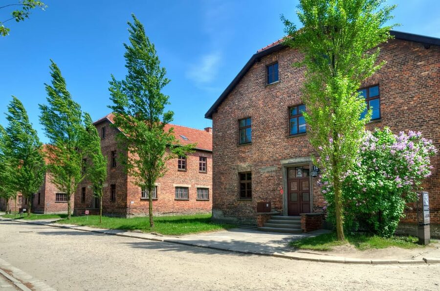 Krakow: Wieliczka Salt Mine and Auschwitz-Birkenau Tour - Key points to know before booking