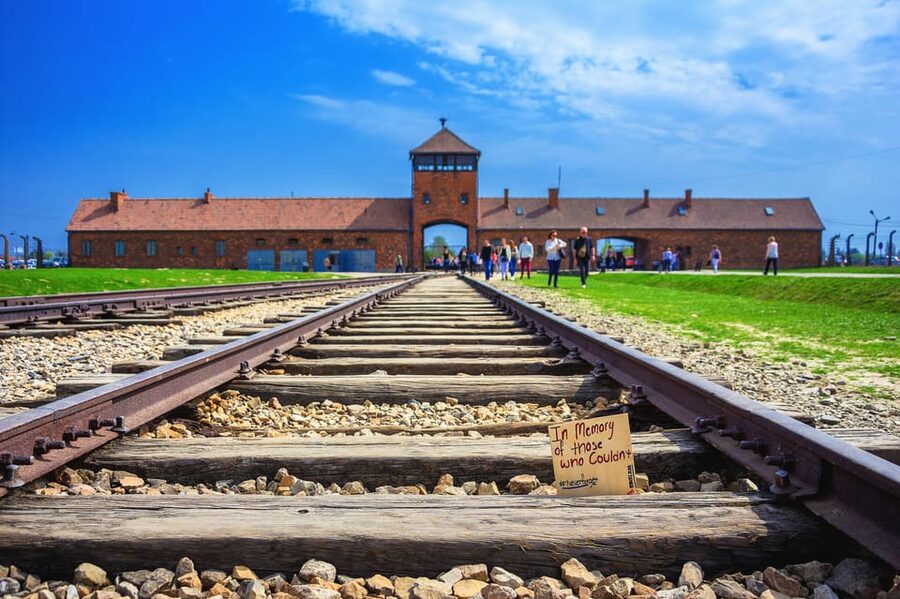 Krakow: Wieliczka Salt Mine and Auschwitz-Birkenau Tour - Who should book this tour?
