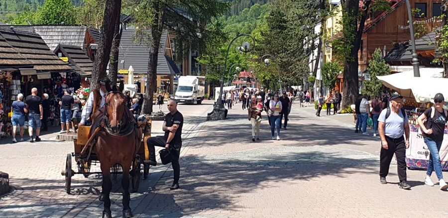 Krakow: Zakopane, Gubałówka & Thermal Baths – Full-Day Tour - Guides, vehicles, and the pace of the day
