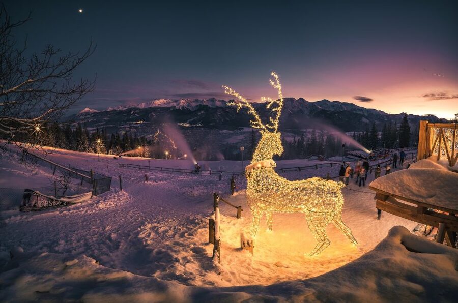 Krakow: Zakopane, Thermal Springs, Cable Car, Local Tasting - Guides, communication, and the small-group feel