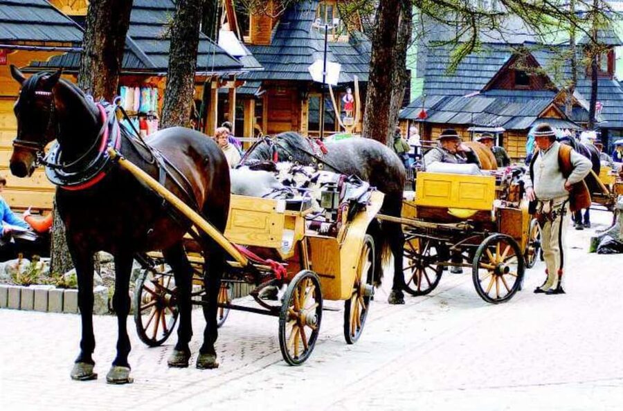 KRAKOW ZAKOPANE TOUR CABLE CAR THERMAL BATHS & HOTEL PICKUP - Two and a half hours at Chochołowskie Thermal Baths