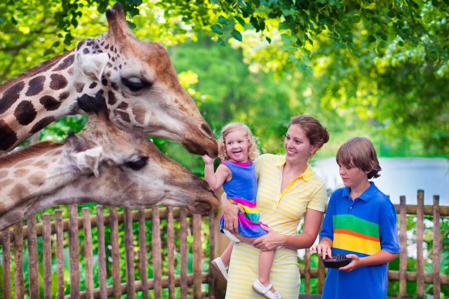 Krakow: Zoo Tour with Private Transport and Tickets - Key points to know