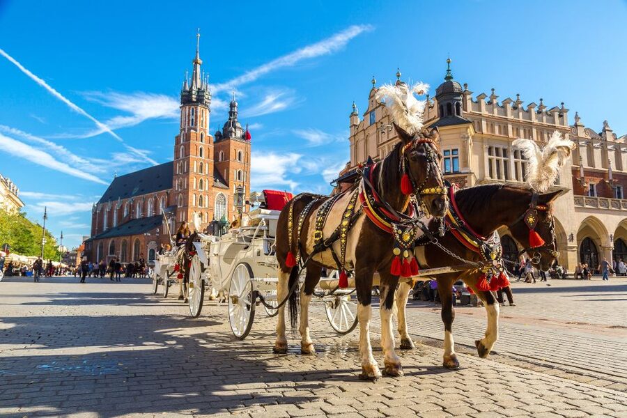 Krakow: Zoo Tour with Private Transport and Tickets - Who will get the most from this zoo trip?