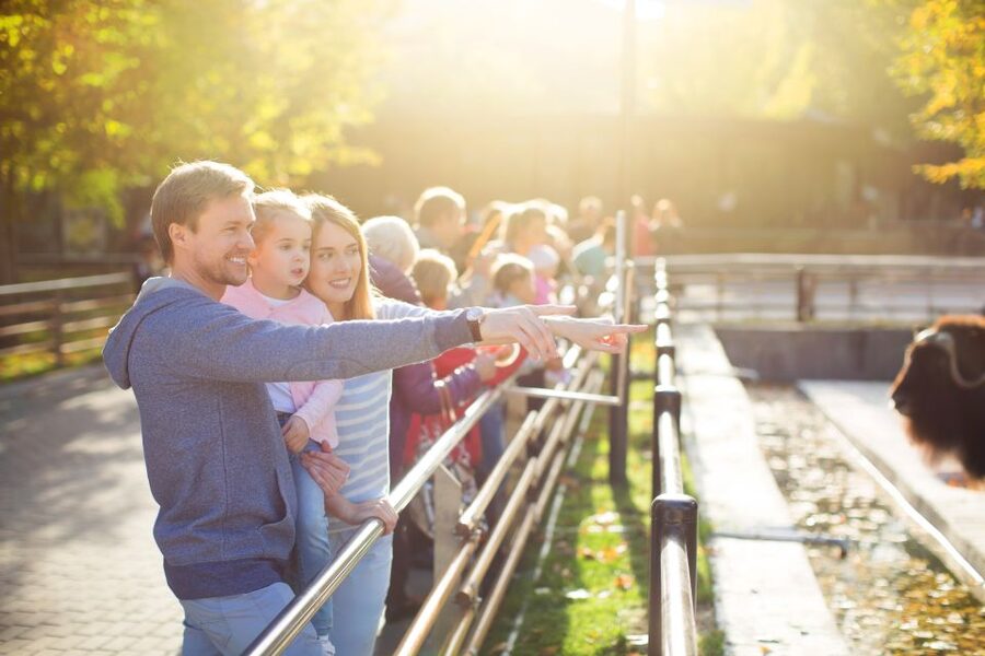 Krakow: Zoo Tour with Private Transport and Tickets - Should you book Krakow Zoo with private transport?