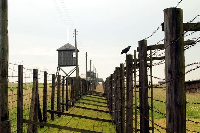 Lublin and Majdanek Small Group Tour from Warsaw with Lunch - Timing, comfort, and the road back