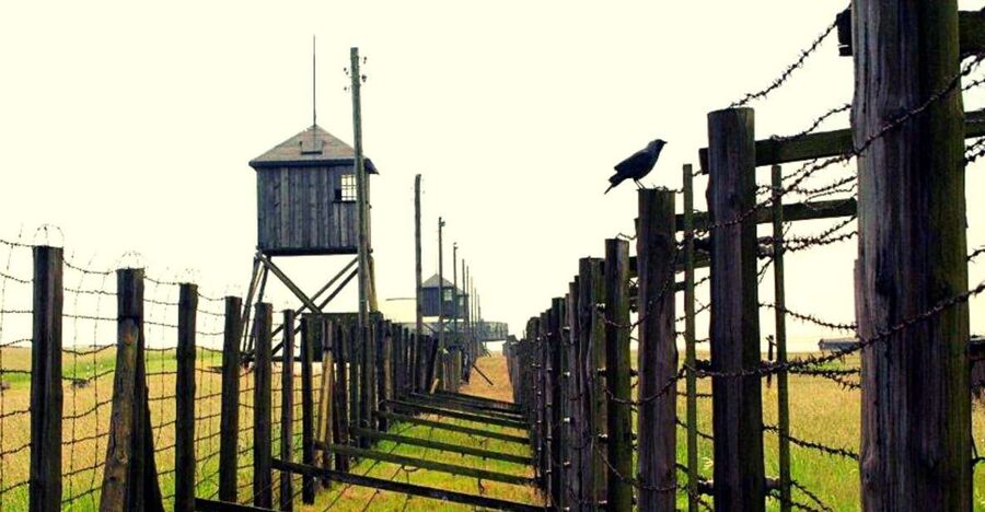 Lublin & Majdanek Small-Group Tour from Warsaw with Lunch - Key points to know before booking