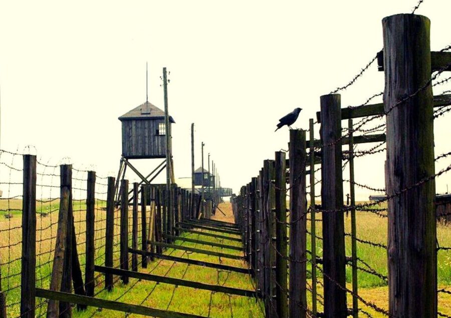 Lublin & Majdanek Small-Group Tour from Warsaw with Lunch - Two hours in Lublin’s Old Town