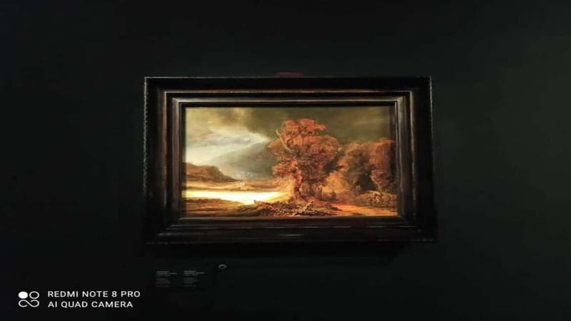Museo Czartorisky : Visita in Lingua Italiana salta fila… - Entering the museum with priority access