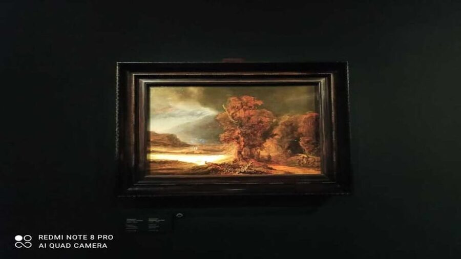 Museo Czartoryski: Visita in italiano e salta la fila - A closer look at the Italian guide experience