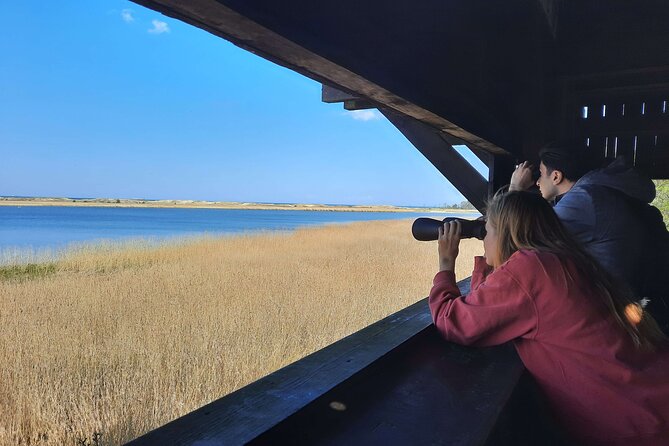 Nature Walk and Wildlife Tour in Sobieszewo Island - The first forest path and Lake Karaś hide