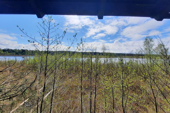 Nature Walk and Wildlife Tour in Sobieszewo Island - A practical picnic pause at Znak Ptasi Raj