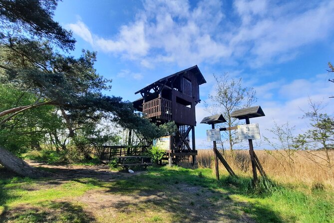Nature Walk and Wildlife Tour in Sobieszewo Island - Walking to Plaża 19 and the Bay of Gdansk