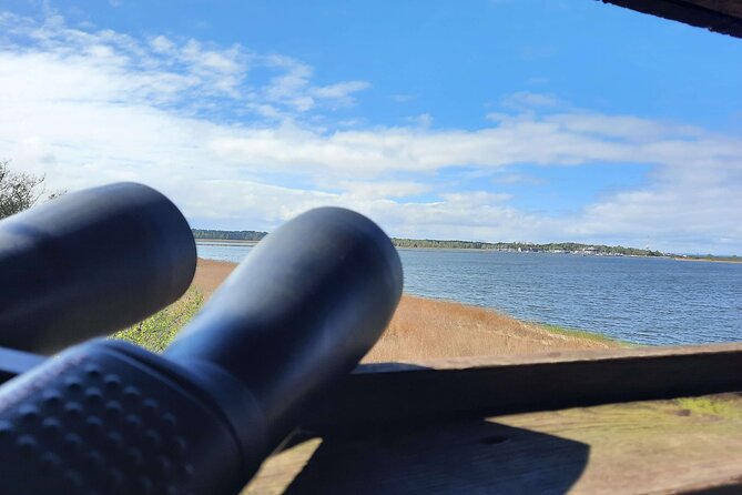 Nature Walk and Wildlife Tour in Sobieszewo Island - What the guide adds to the experience