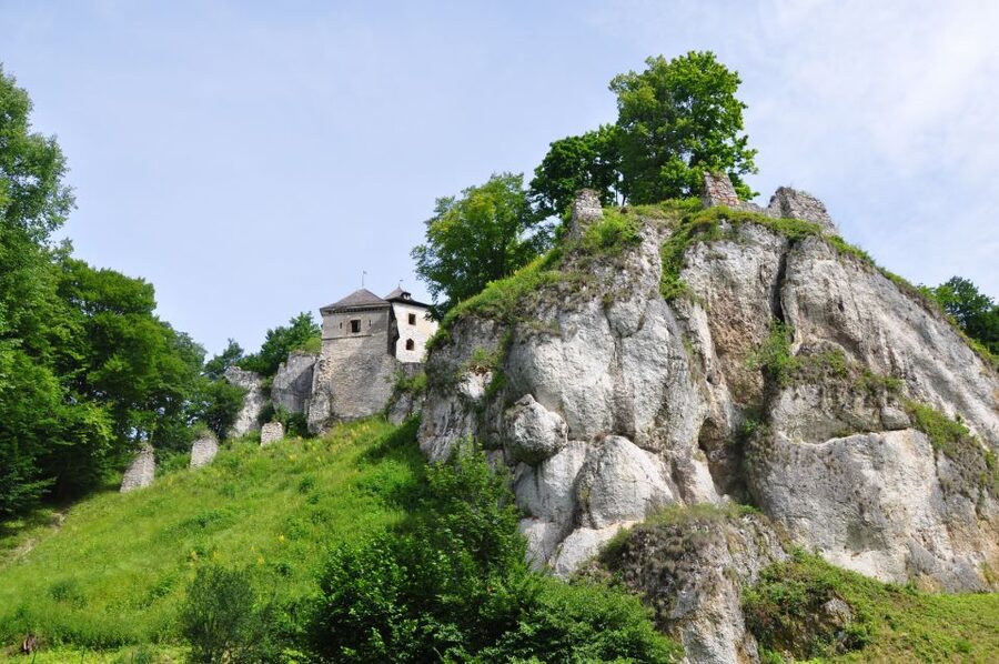 Ojcow National Park: Full-Day Trip from Krakow - Ojcow’s Gothic Castle Ruins