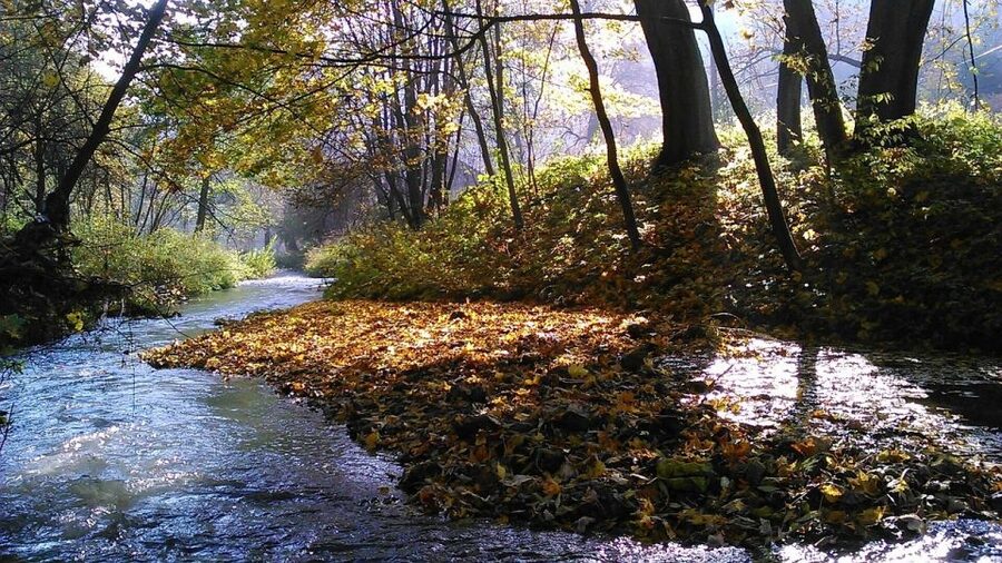 Ojcow National Park: Full-Day Trip from Krakow - How the Seven Hours Are Spent