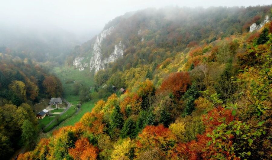 Ojcow National Park: Full-Day Trip from Krakow - Who Should Book This Ojcow Trip?