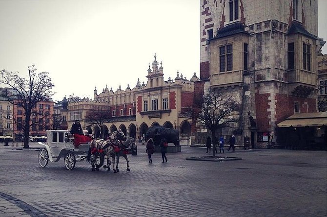 Old Town Krakow & Wawel Castle Walking Tour - Pace, group size, and physical effort