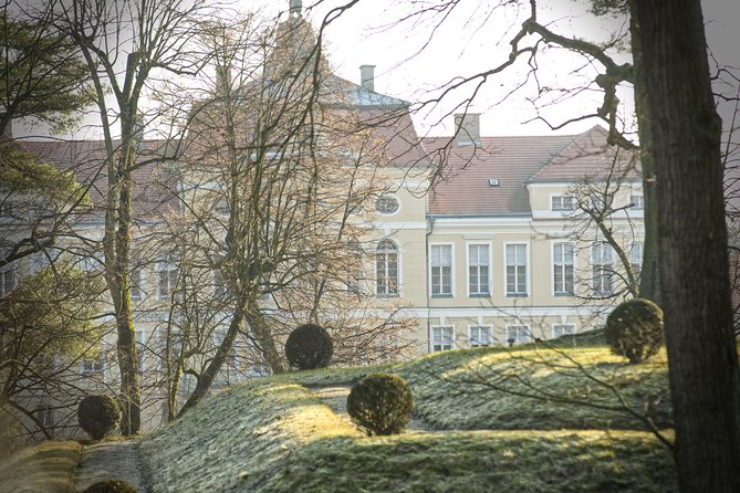 Palace, Castle and Ancient Oaks - Rogalin and Kórnik guided tour from Poznan - Walking through Rogalin’s ancient oaks