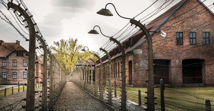 Prague: Tour to Auschwitz Birkenau - Booking advice and final verdict