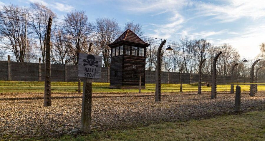 Prague: Tour to Auschwitz Birkenau - Birkenau and the scale of the camp system