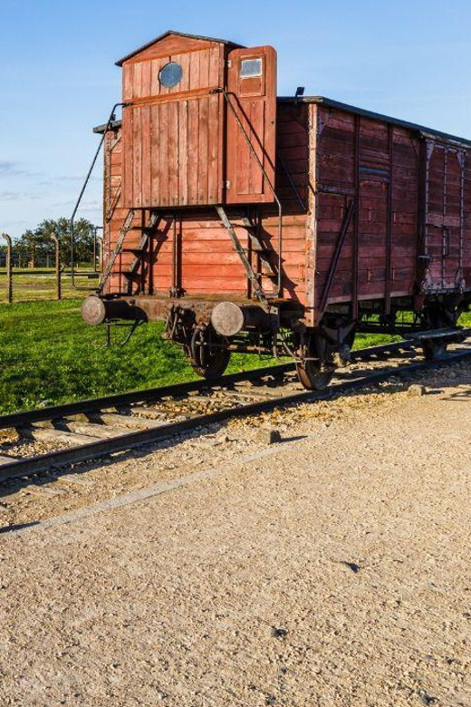 Prague: Tour to Auschwitz Birkenau - Who should book this experience?
