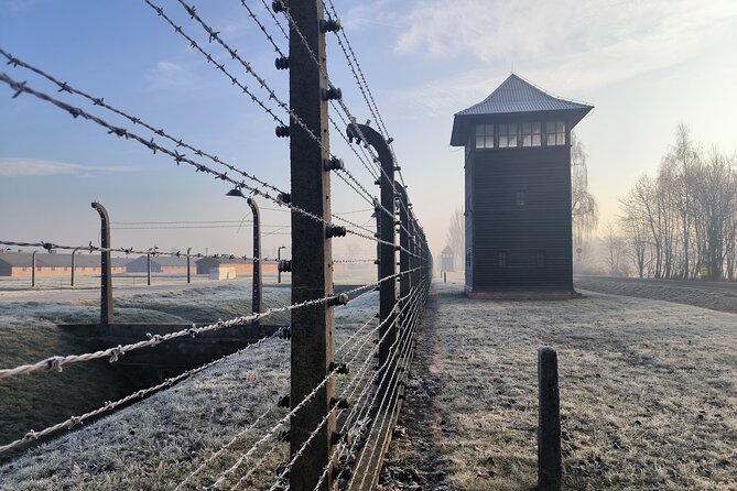Private Guided Tour to Auschwitz & Birkenau from Krakow - Birkenau, the much larger killing center