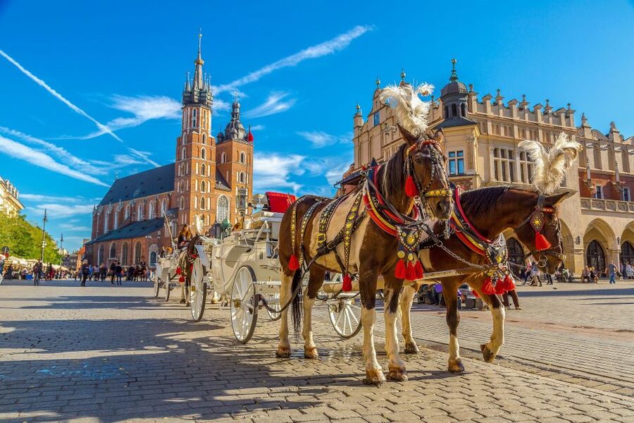 Private Krakow Tour: St. Mary’s, Cloth Hall & More - Is $96 per person good value?