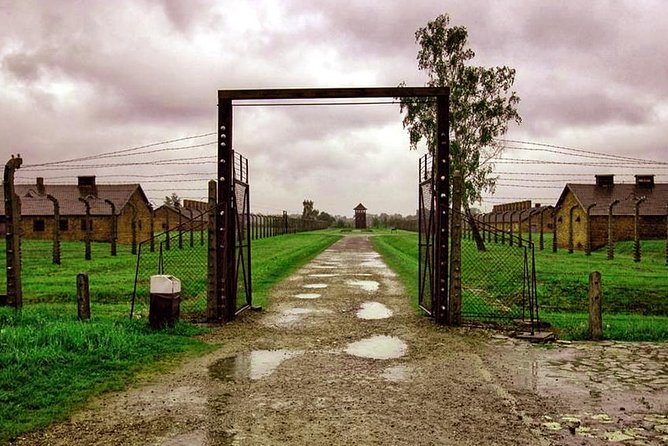Private Tour to Auschwitz & Birkenau from Katowice - Leaving Katowice at 8:00 am
