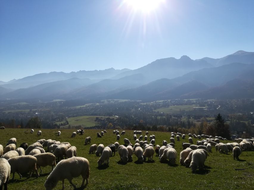 Rafting on Dunajec & Zakopane Tour – Day Trip from Krakow - Why the Dunajec and Zakopane pairing works