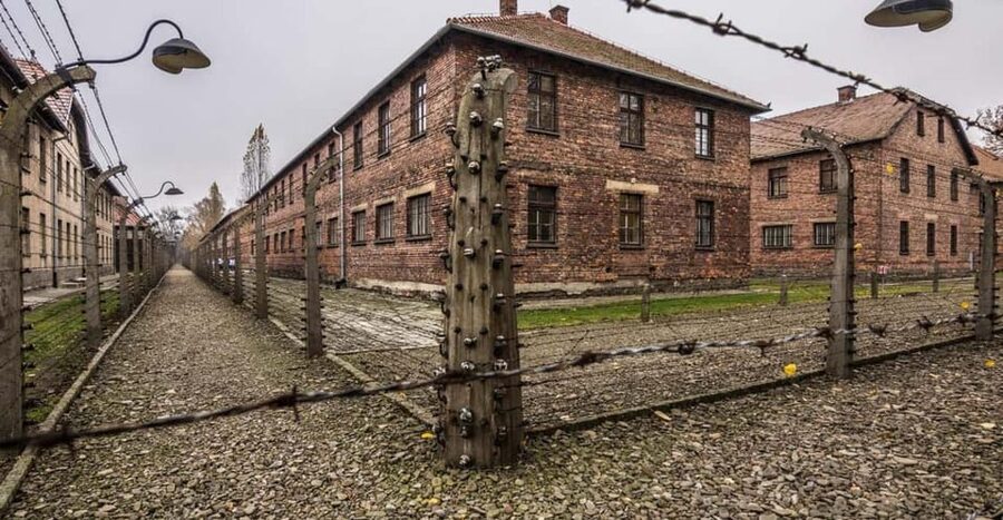 RoundTrip from Krakow to Auschwitz + Entrance Tickets - Who should choose this Krakow excursion?