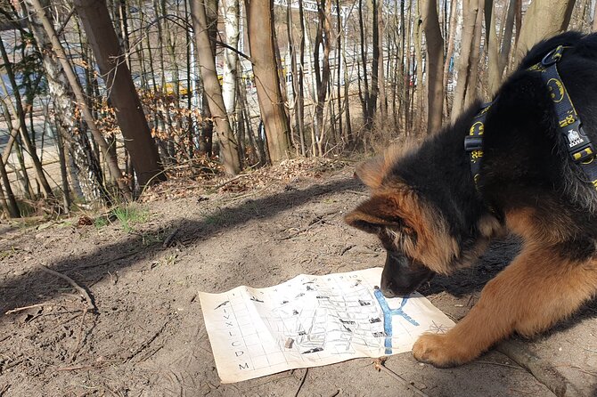 Scavenger Hunt in Gdańsk, Poland - How Difficult Are the Puzzles?