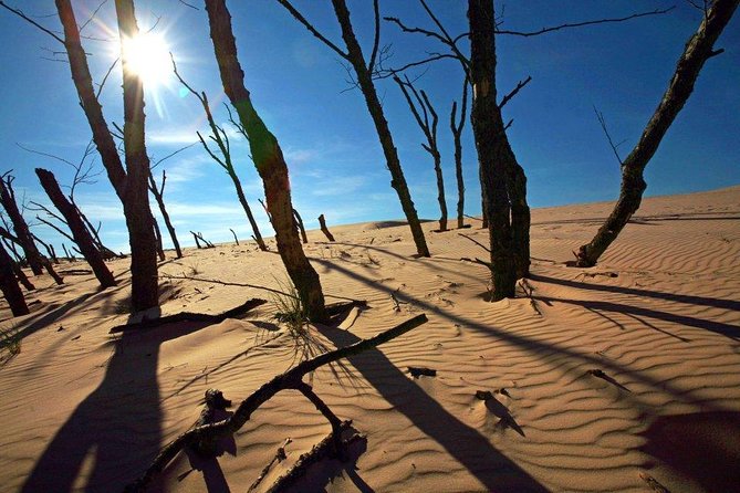 Slowinski National Park Private Tour - How the private format changes the day