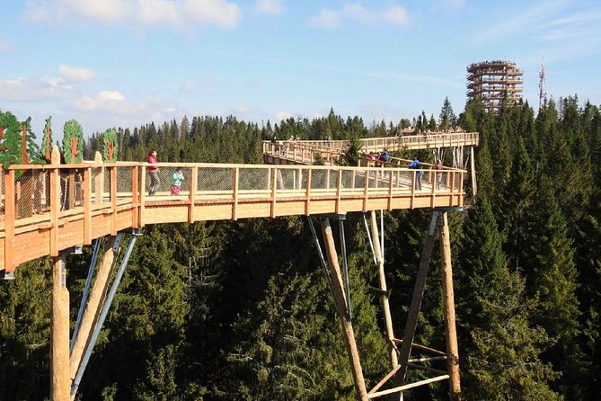 Treetop Walk in Slovakia and Thermal Baths from Krakow - Bachledka Ski & Sun and the forest walkway